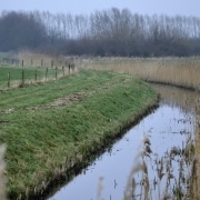 Inspiratiedag Natuurinclusief Platteland