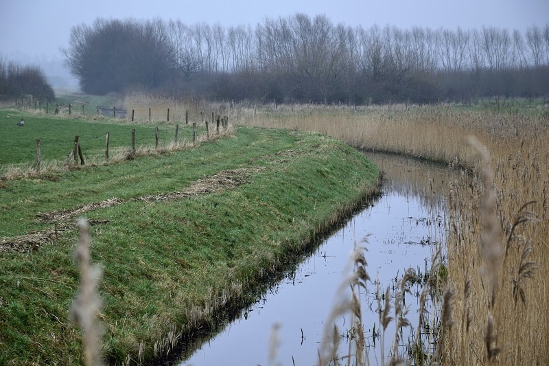 Inspiratiedag Natuurinclusief Platteland