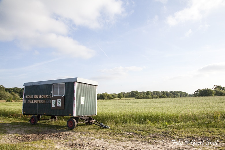 Farmwalk Weideland Tour de Boer - Veldwerk