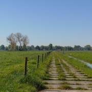 WEBINAR | Agrarische jongeren in gesprek met landbouwministers