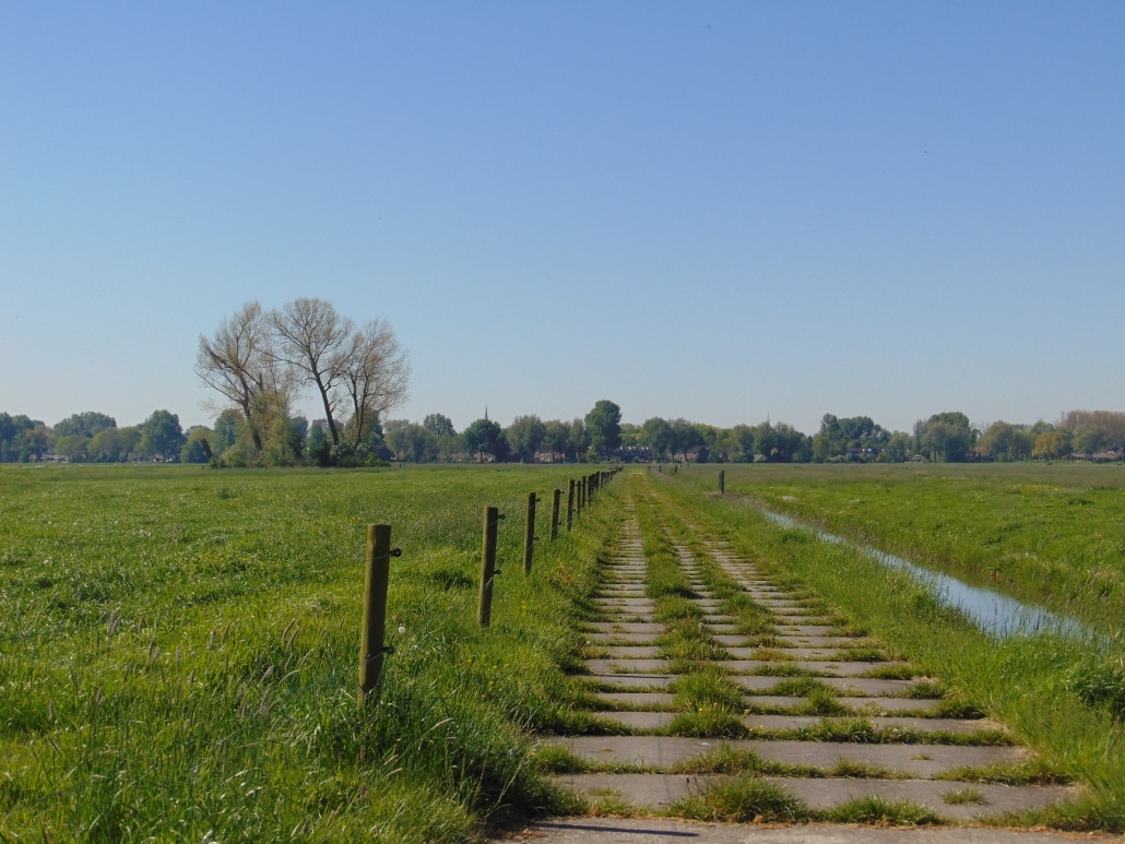 WEBINAR | Agrarische jongeren in gesprek met landbouwministers