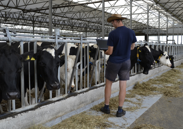BoerVeilig webinar 'Veilig op stage'