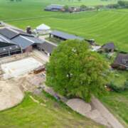 NAJK-studiemiddag over mestverwaarding i.s.m. ForFarmers