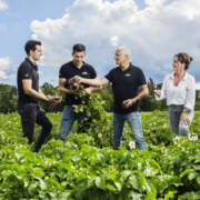 GEANNULEERD: NAJK & Interpolis evenement over 'Plantgezondheid'