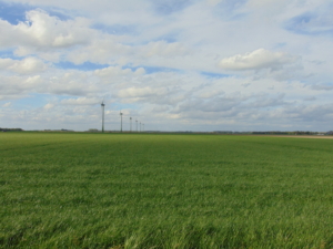 Landschap