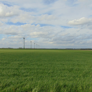 Sloot en gras vierkant-100