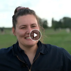 amber video vierkant-100